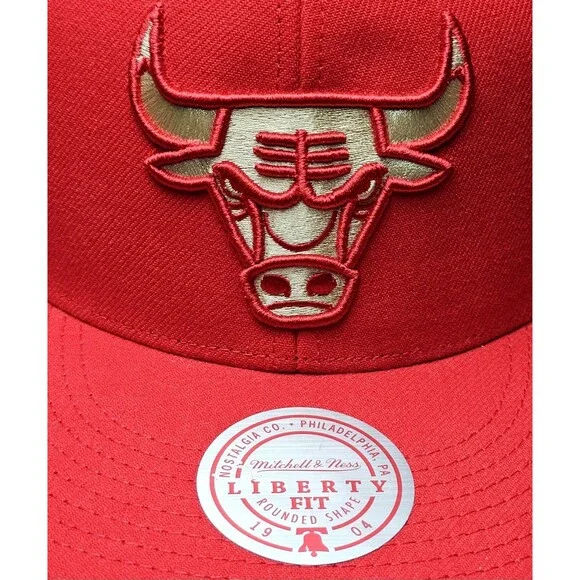 Chicago Bulls Mitchell & Ness Chrome Elements 40th Anniversary Snapback Hat NWT!